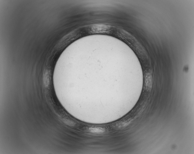 X0000116660741201001251217