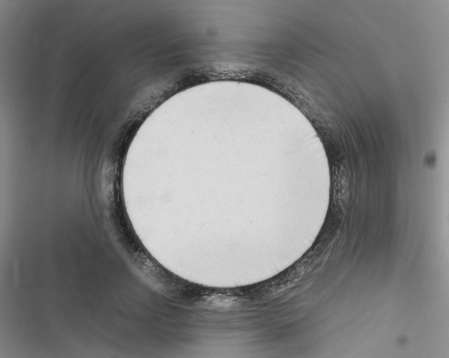 X0000116660742201001251217