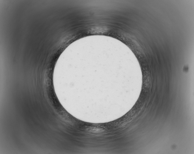 X0000116660743201001251217