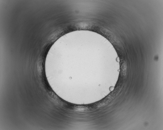 X0000116660746201001251217