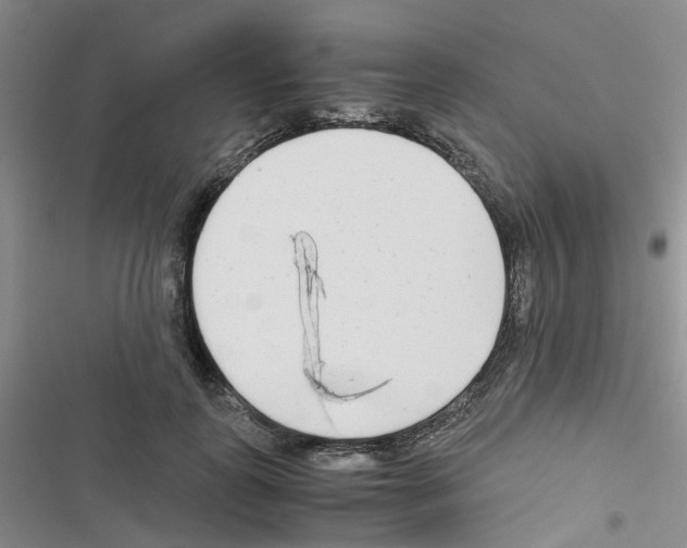 X0000116660747201001251217