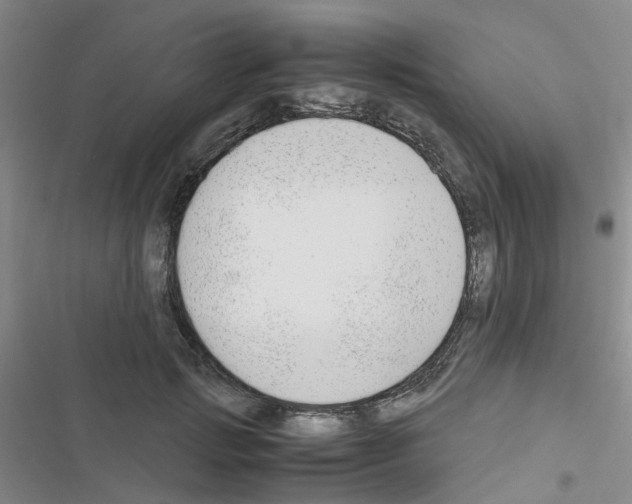 X0000116660749201001251217