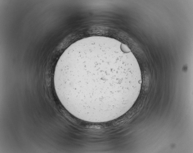 X0000116660751201001251217