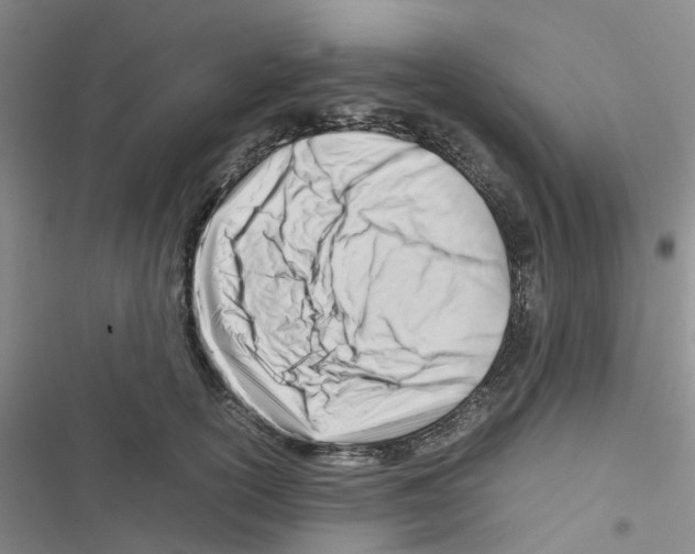 X0000116660754201001251217
