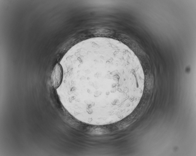 X0000116660755201001251217