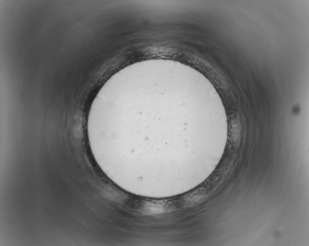 X0000116660757201001251217