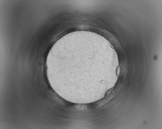 X0000116660762201001251217