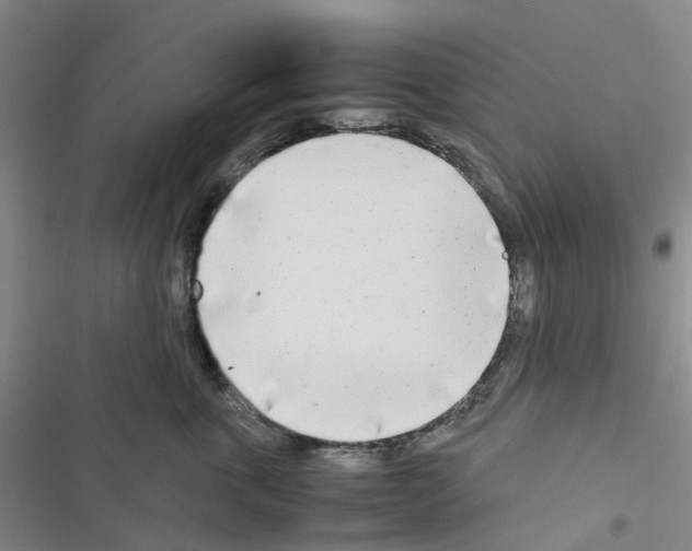 X0000116660763201001251218