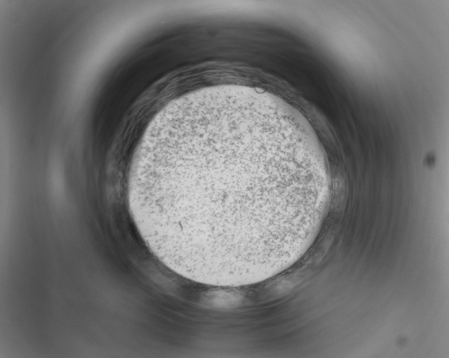 X0000116660765201001251218