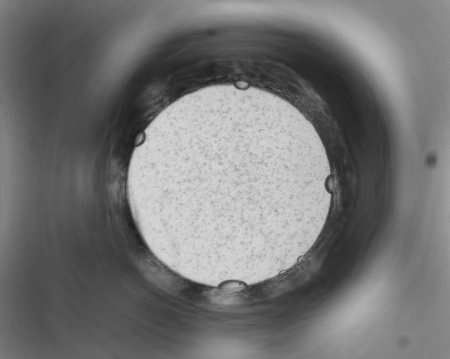 X0000116660766201001251218