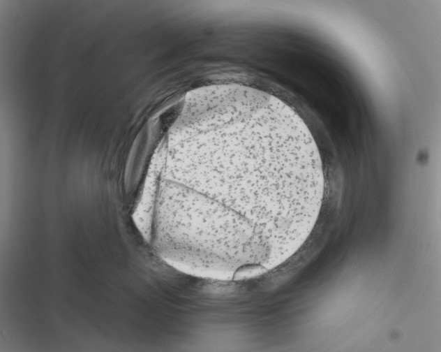 X0000116660767201001251218