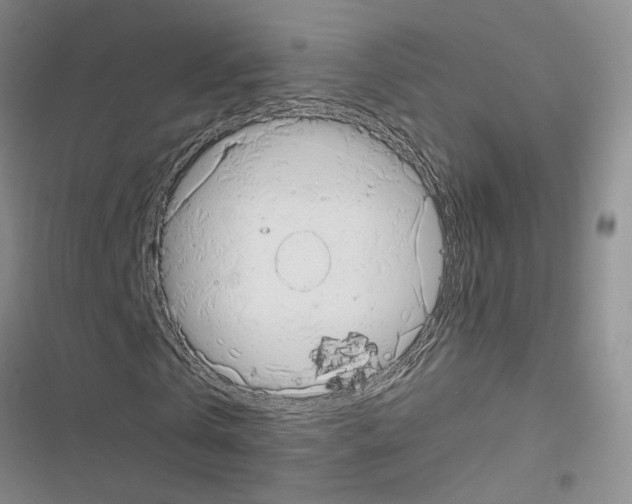 X0000116660769201001251217