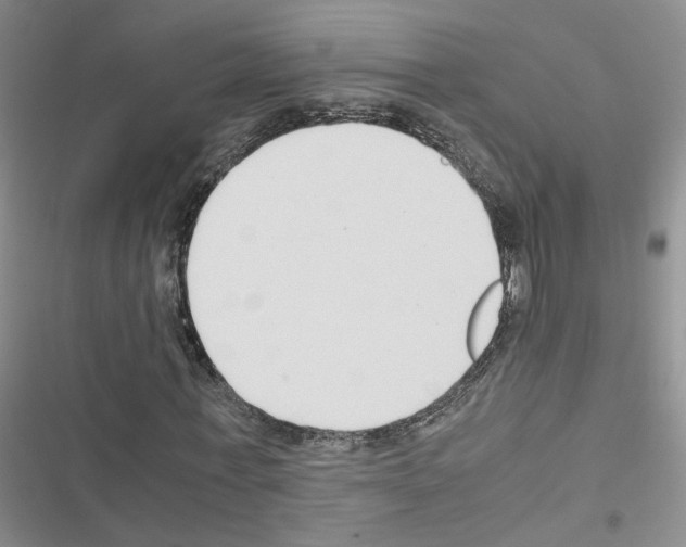 X0000116660771201001251217