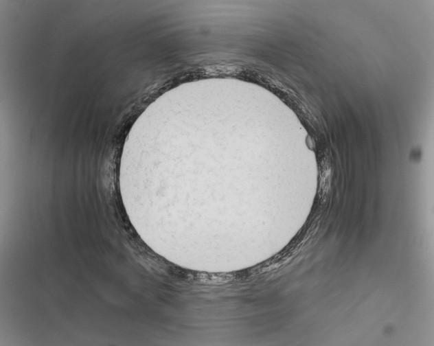 X0000116660772201001251217