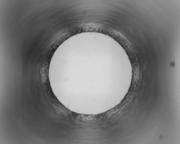 X0000116660774201001251217