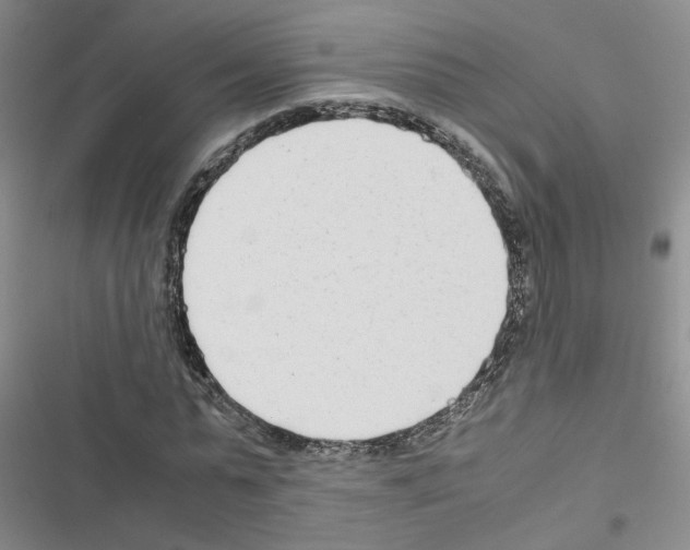 X0000116660775201001251217