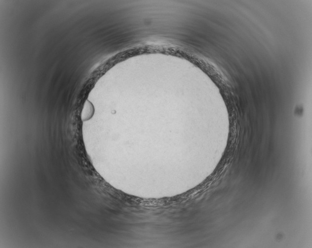 X0000116660776201001251217