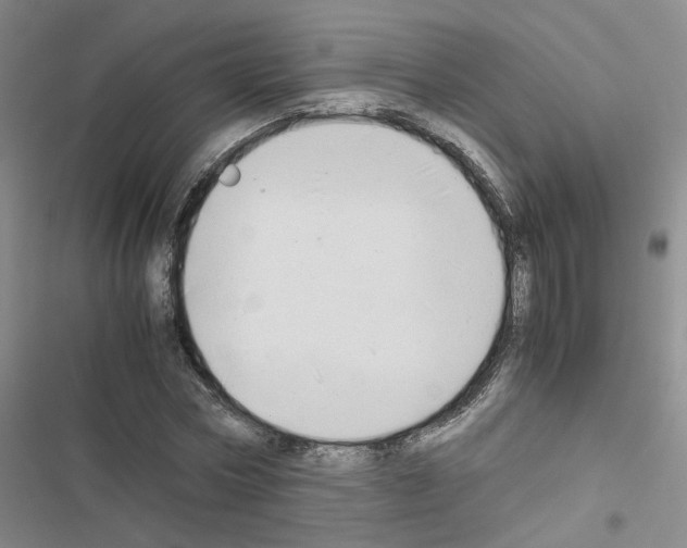 X0000116660778201001251217