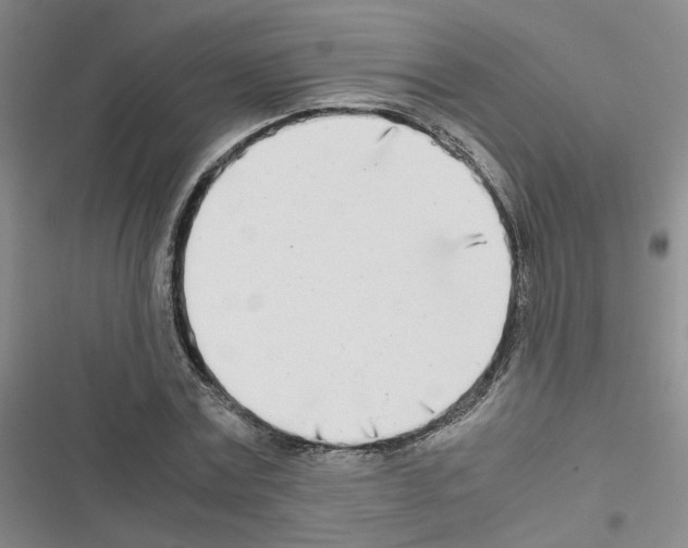 X0000116660779201001251217