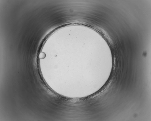 X0000116660780201001251217