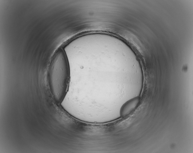 X0000116660781201001251217