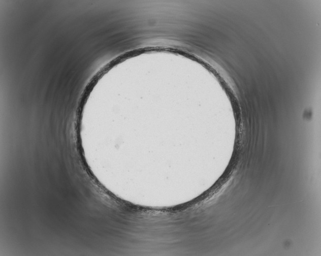 X0000116660783201001251217