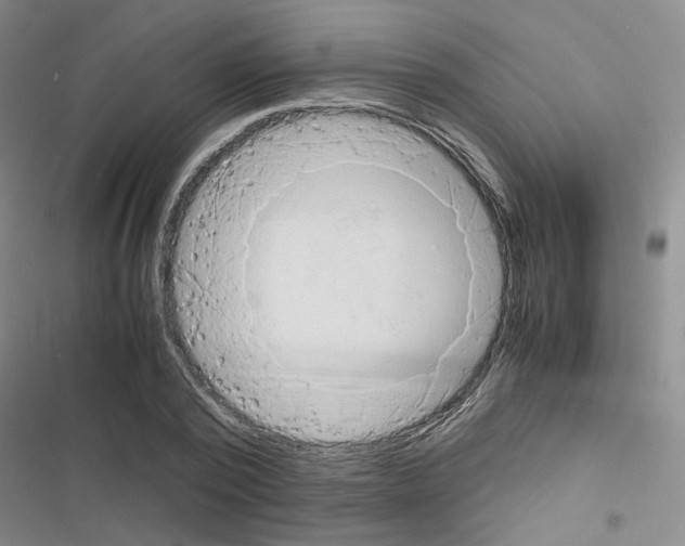 X0000116660784201001251217