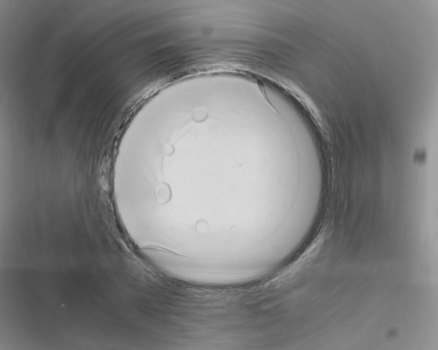 X0000116660785201001251217