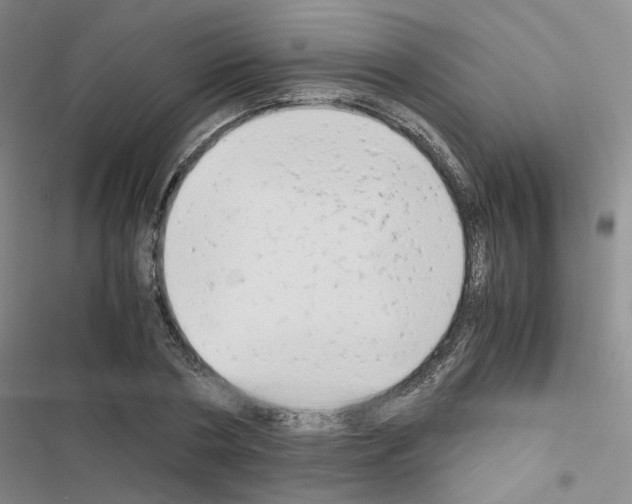X0000116660786201001251217