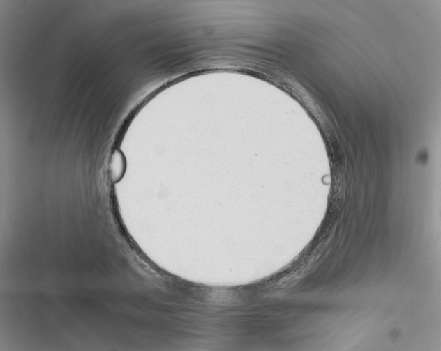 X0000116660787201001251217