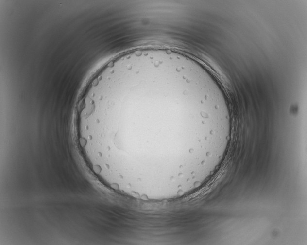 X0000116660788201001251217