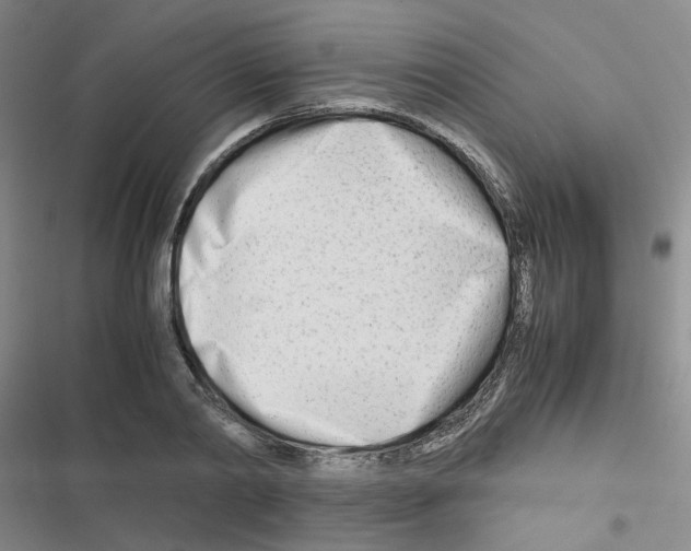 X0000116660790201001251217