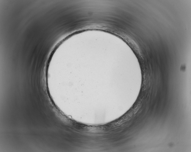 X0000116660792201001251217