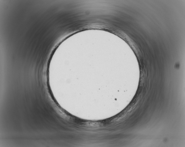 X0000116660795201001251217