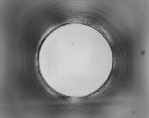 X0000116660796201001251217