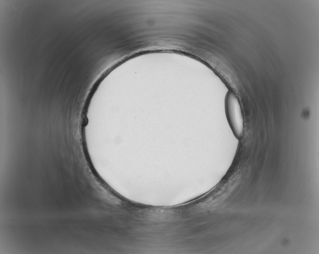 X0000116660797201001251217