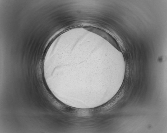 X0000116660798201001251217