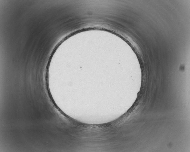 X0000116660799201001251217