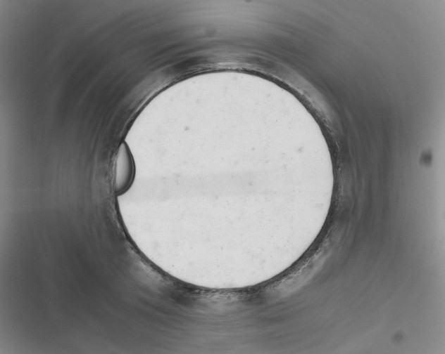 X0000116660801201001251216