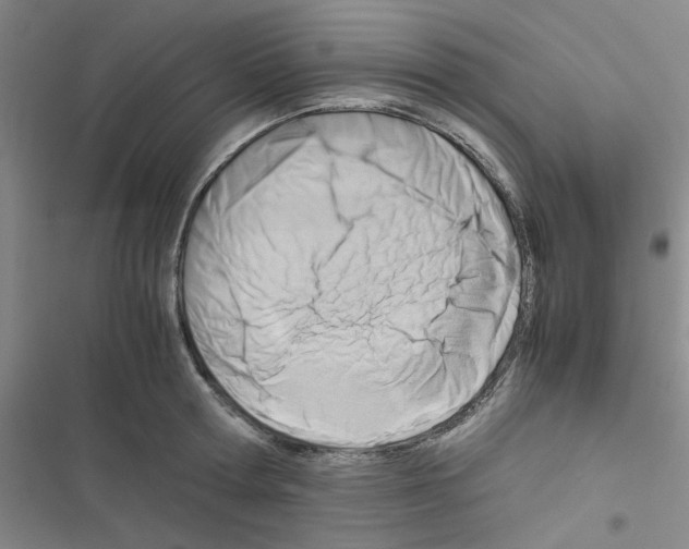 X0000116660802201001251216