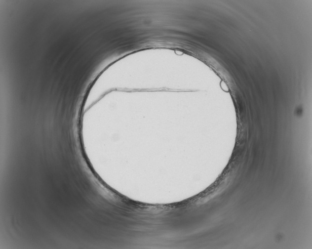 X0000116660803201001251216