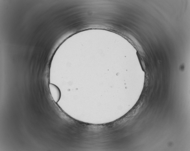 X0000116660804201001251216