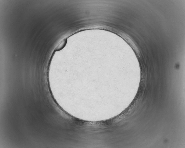 X0000116660805201001251216