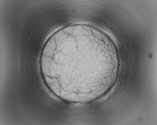 X0000116660806201001251216
