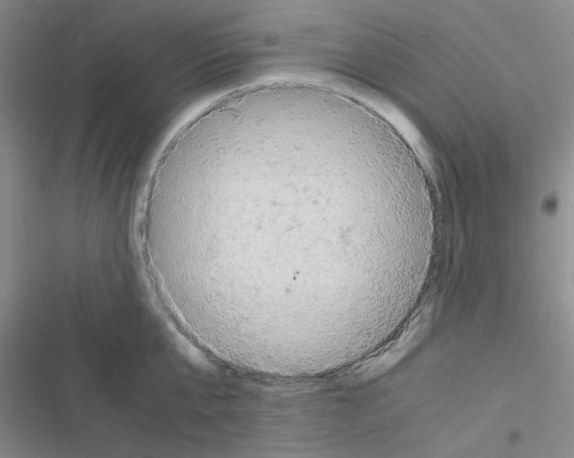 X0000116660807201001251216