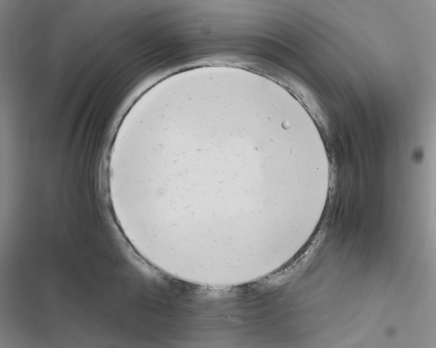 X0000116660808201001251216