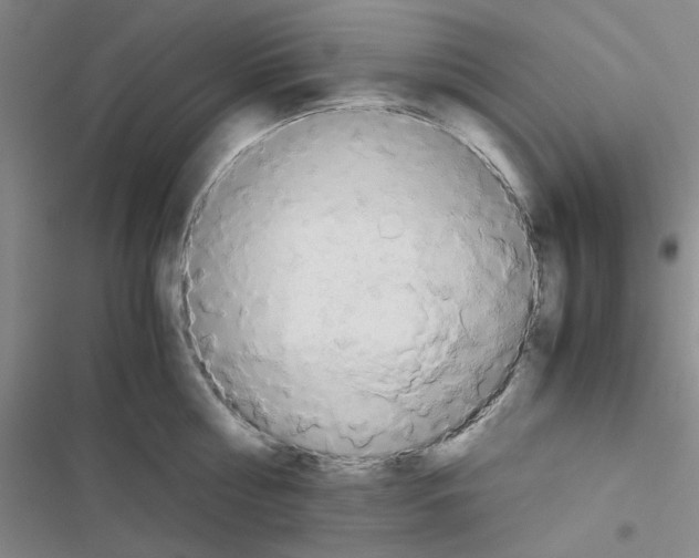 X0000116660810201001251216