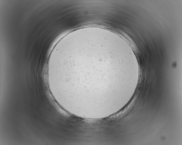 X0000116660812201001251216