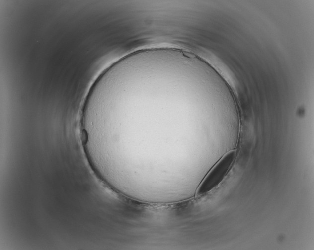 X0000116660813201001251216