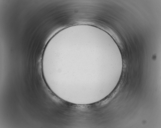 X0000116660814201001251216
